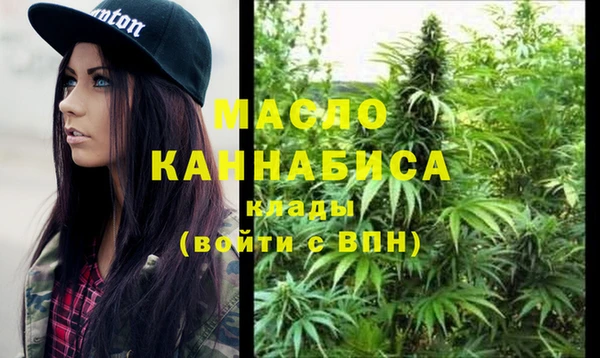 гидра Карпинск