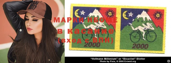 гидра Карпинск