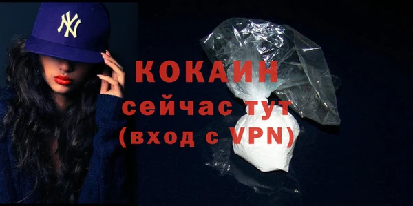 гидра Карпинск