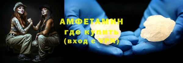 гидра Карпинск