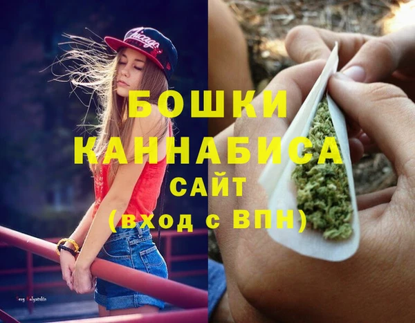 гидра Карпинск