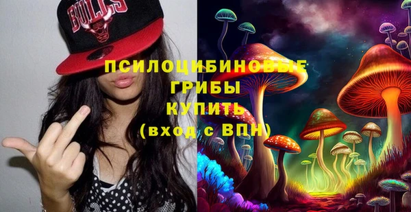 гидра Карпинск