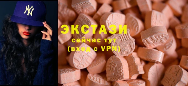 гидра Карпинск