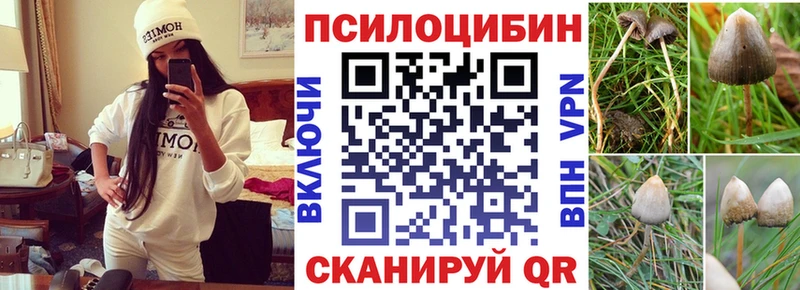 Купить  Козьмодемьянск  Псилоцибиновые грибы прущие грибы 